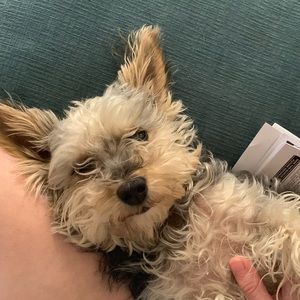 Meet your Posher, Jenna